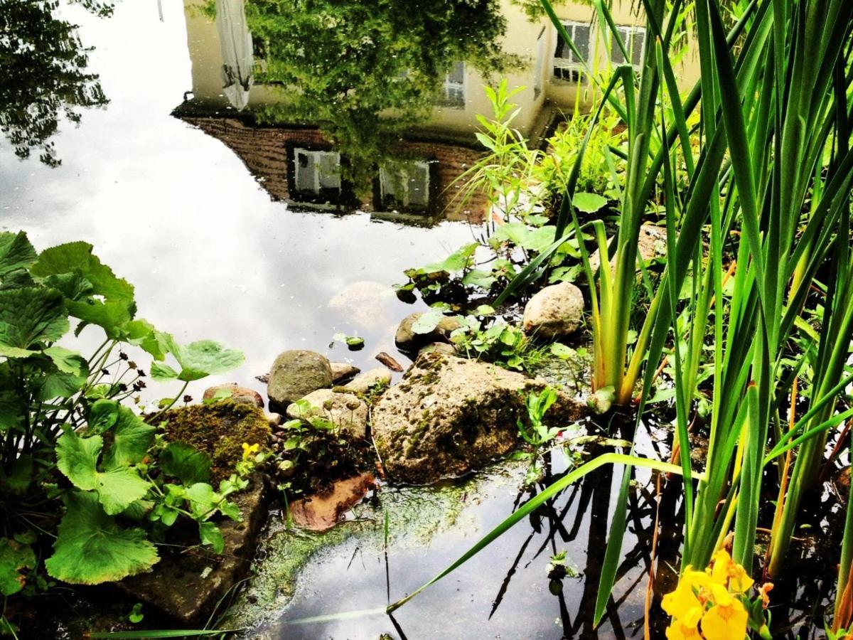 Germania Hotel Am Schlosspark Meyenburg  外观 照片